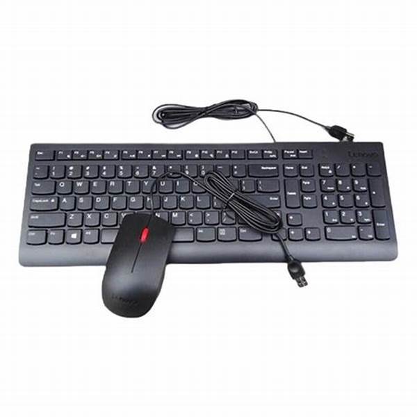Combo de teclado y mouse con cable esencial Lenovo (español de Latinoamérica 171) - Imagen 3